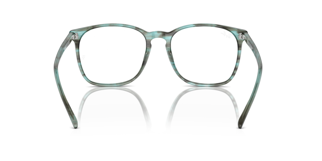 Ray-Ban RB5387 Optics
