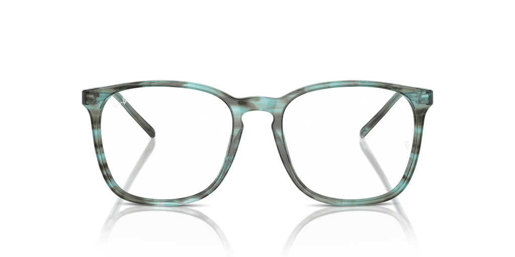 Ray-Ban RB5387 Optics