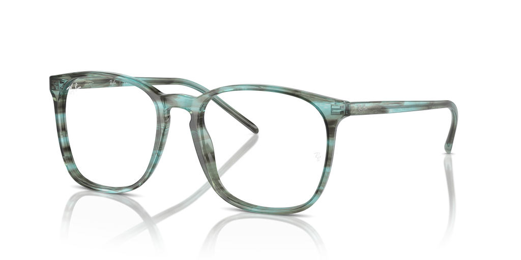 Ray-Ban RB5387 Optics