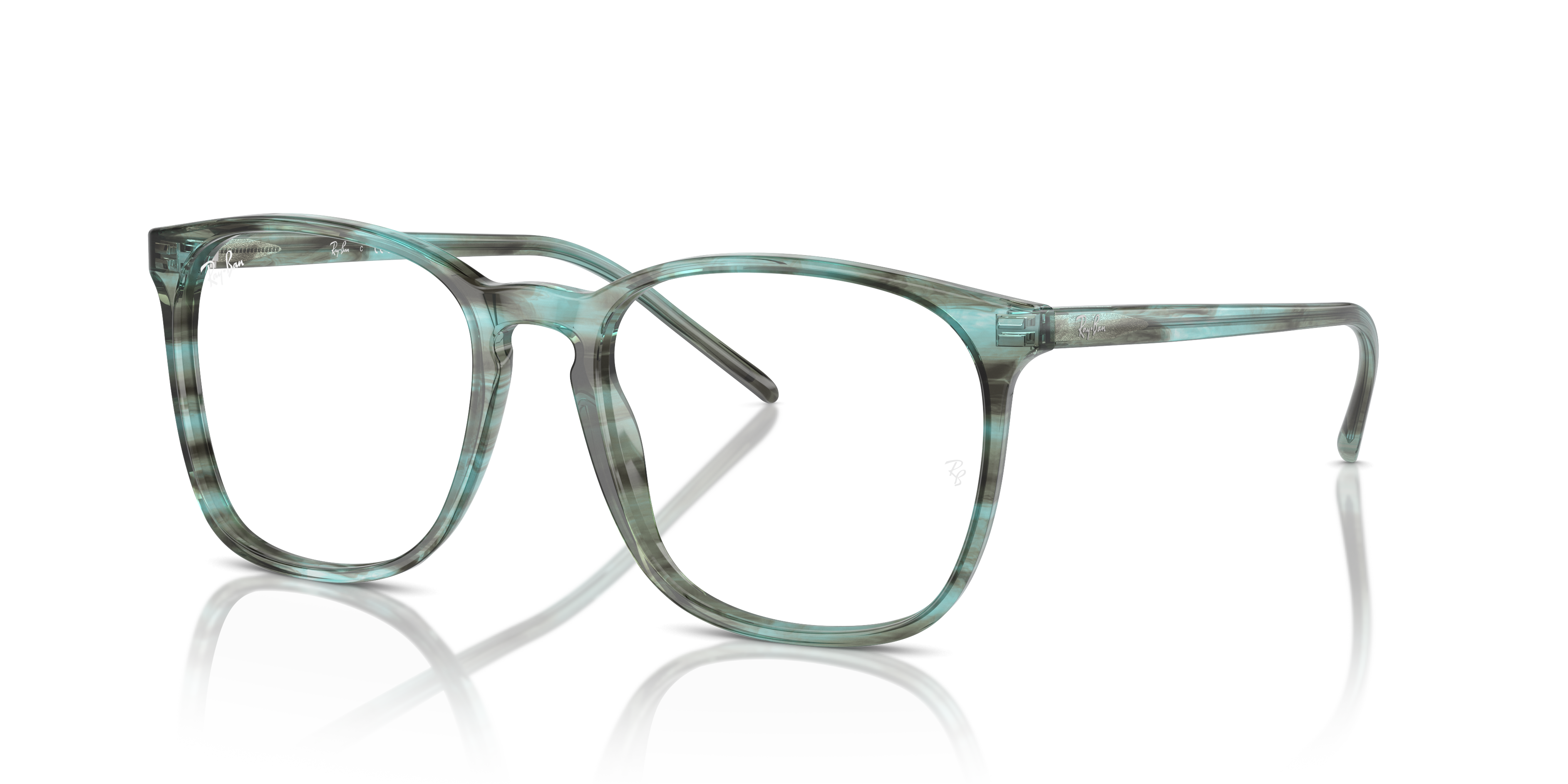 Ray-Ban RB5387 Optics