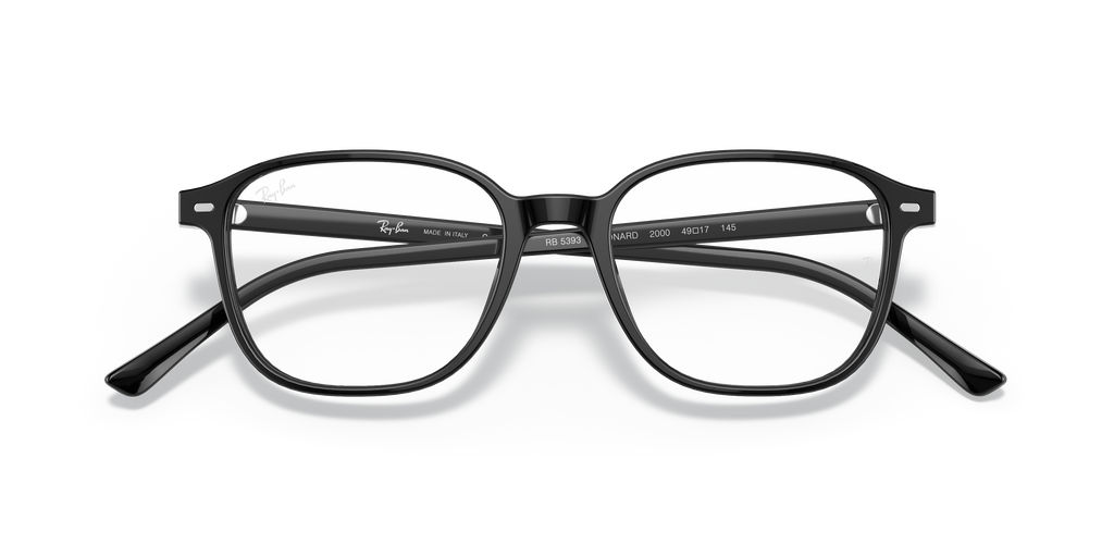 Ray-Ban RB5393 Leonard Optics
