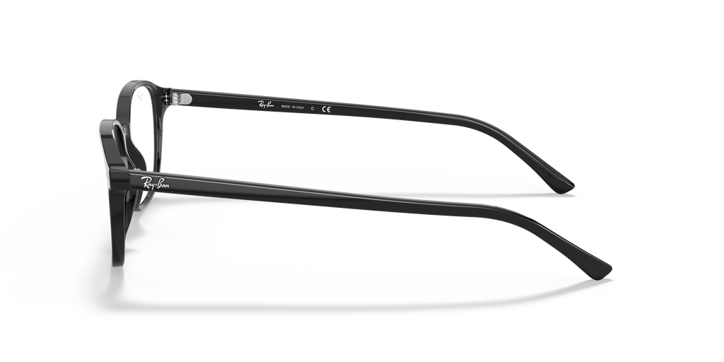 Ray-Ban RB5393 Leonard Optics