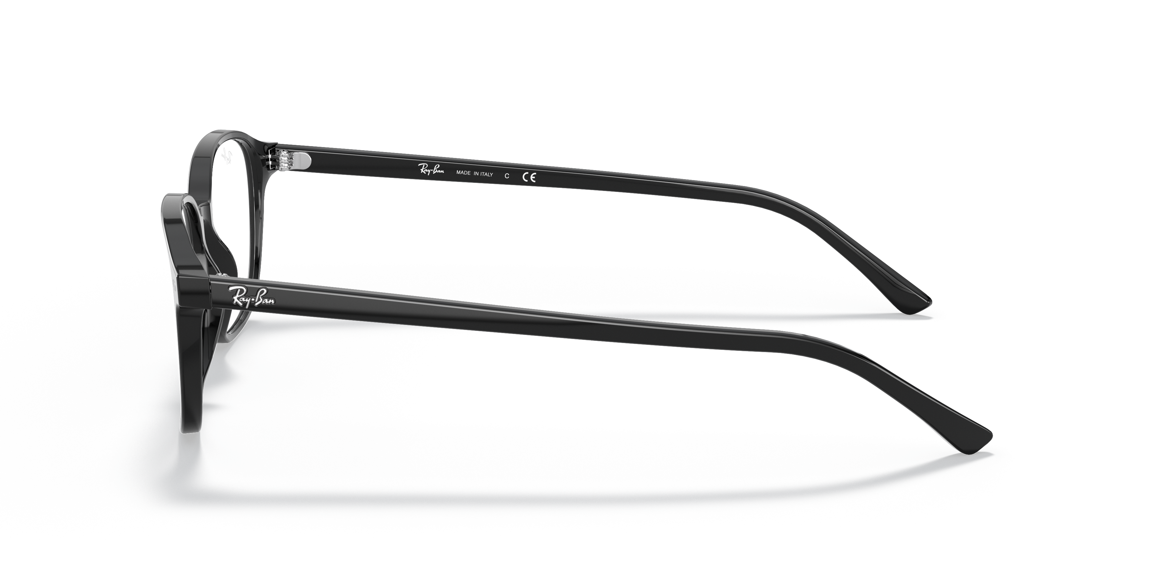 Ray-Ban RB5393 Leonard Optics