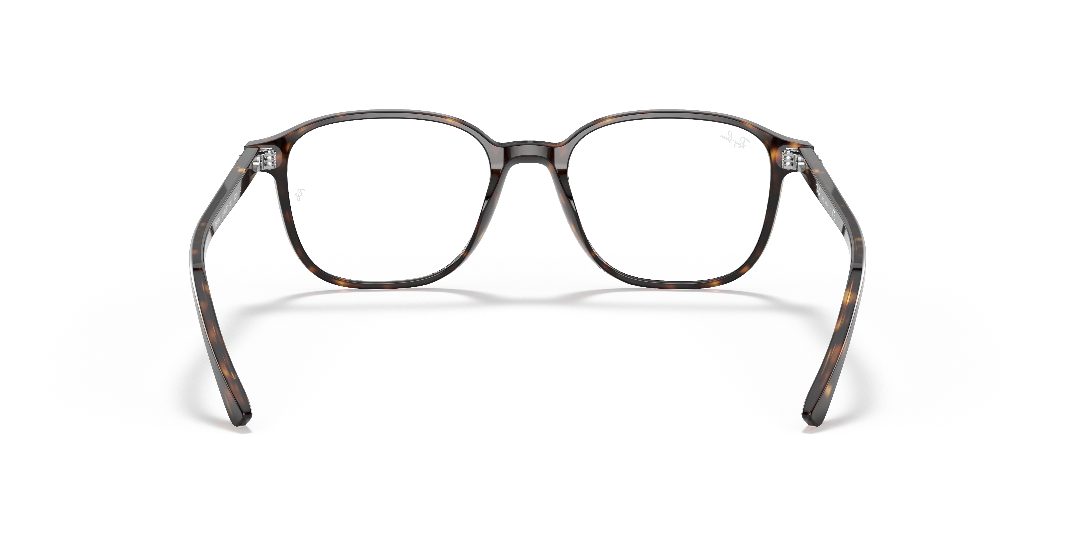 Ray-Ban RB5393 Leonard Optics