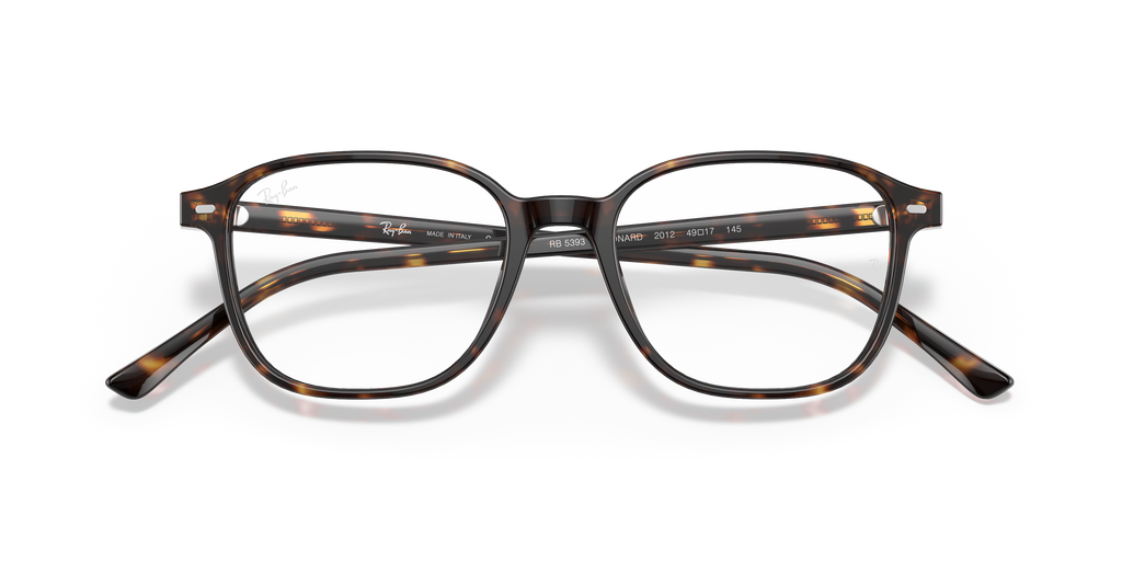 Ray-Ban RB5393 Leonard Optics