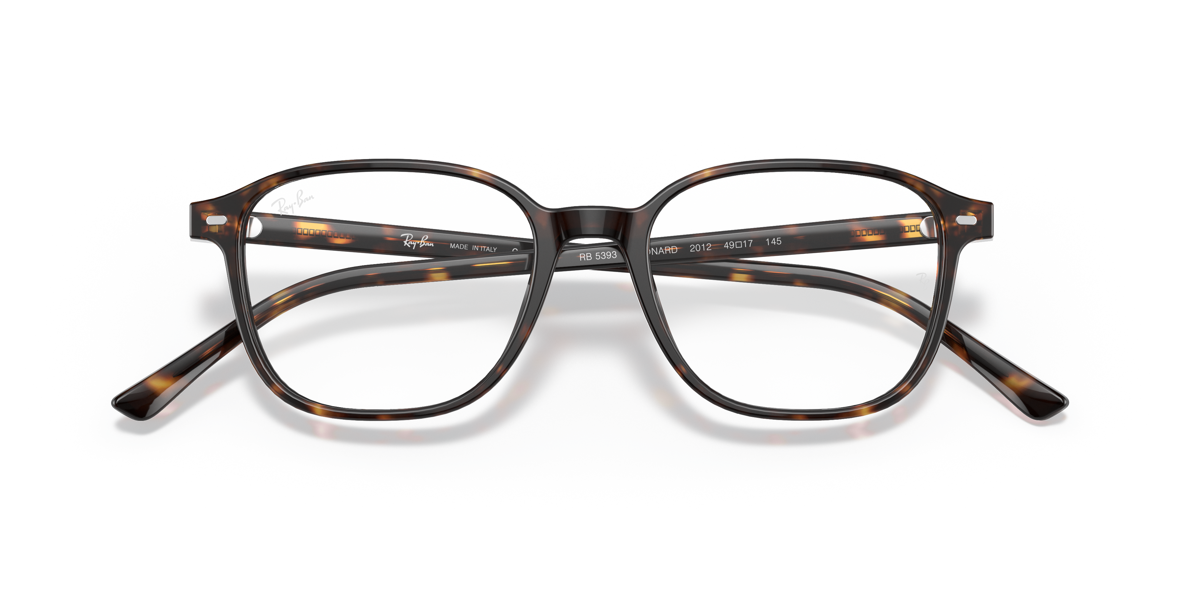Ray-Ban RB5393 Leonard Optics
