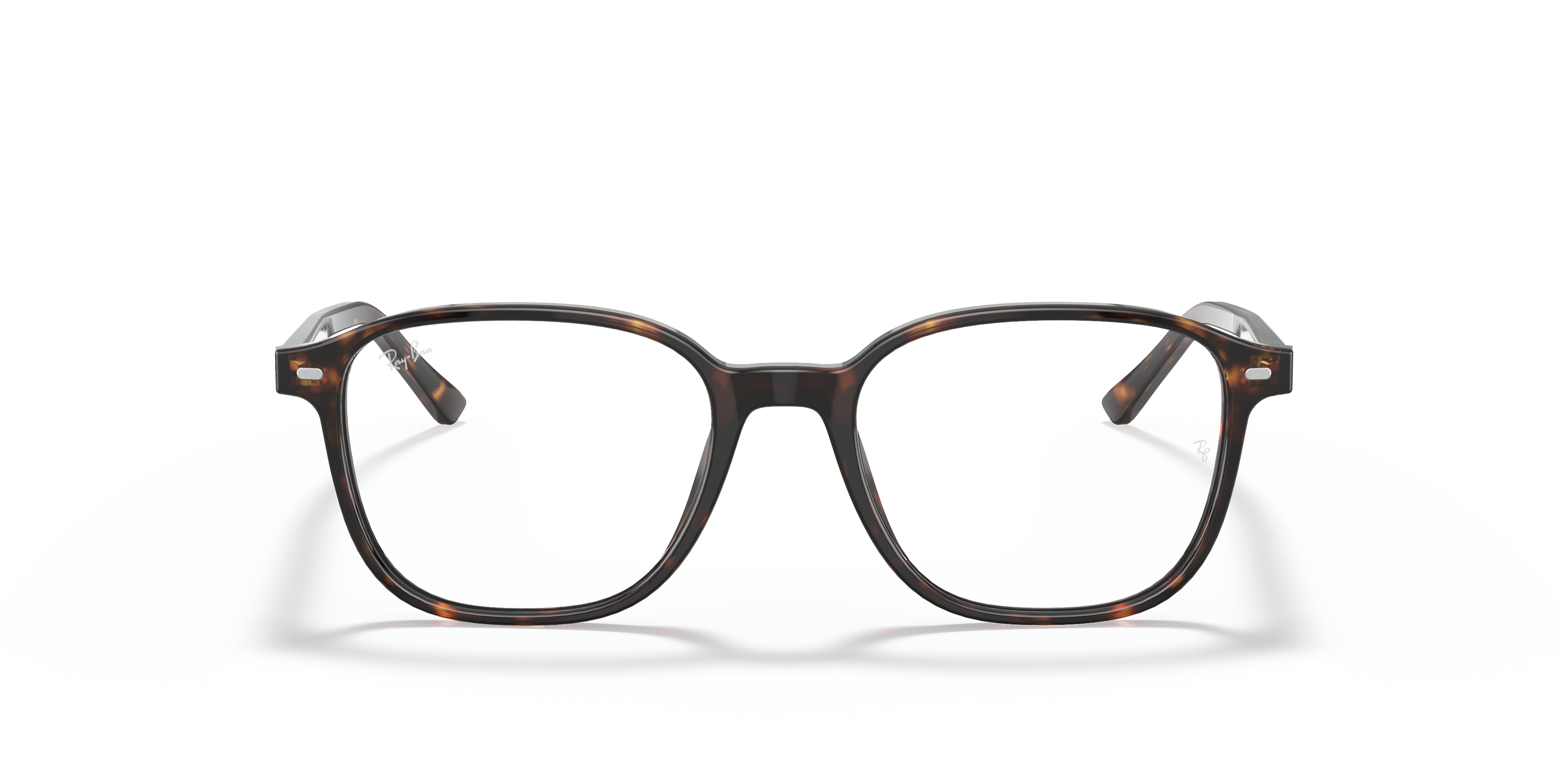 Ray-Ban RB5393 Leonard Optics