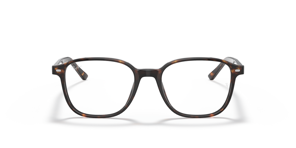 Ray-Ban RB5393 Leonard Optics