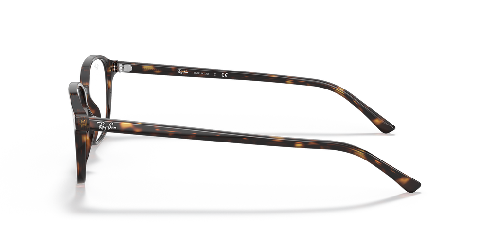 Ray-Ban RB5393 Leonard Optics