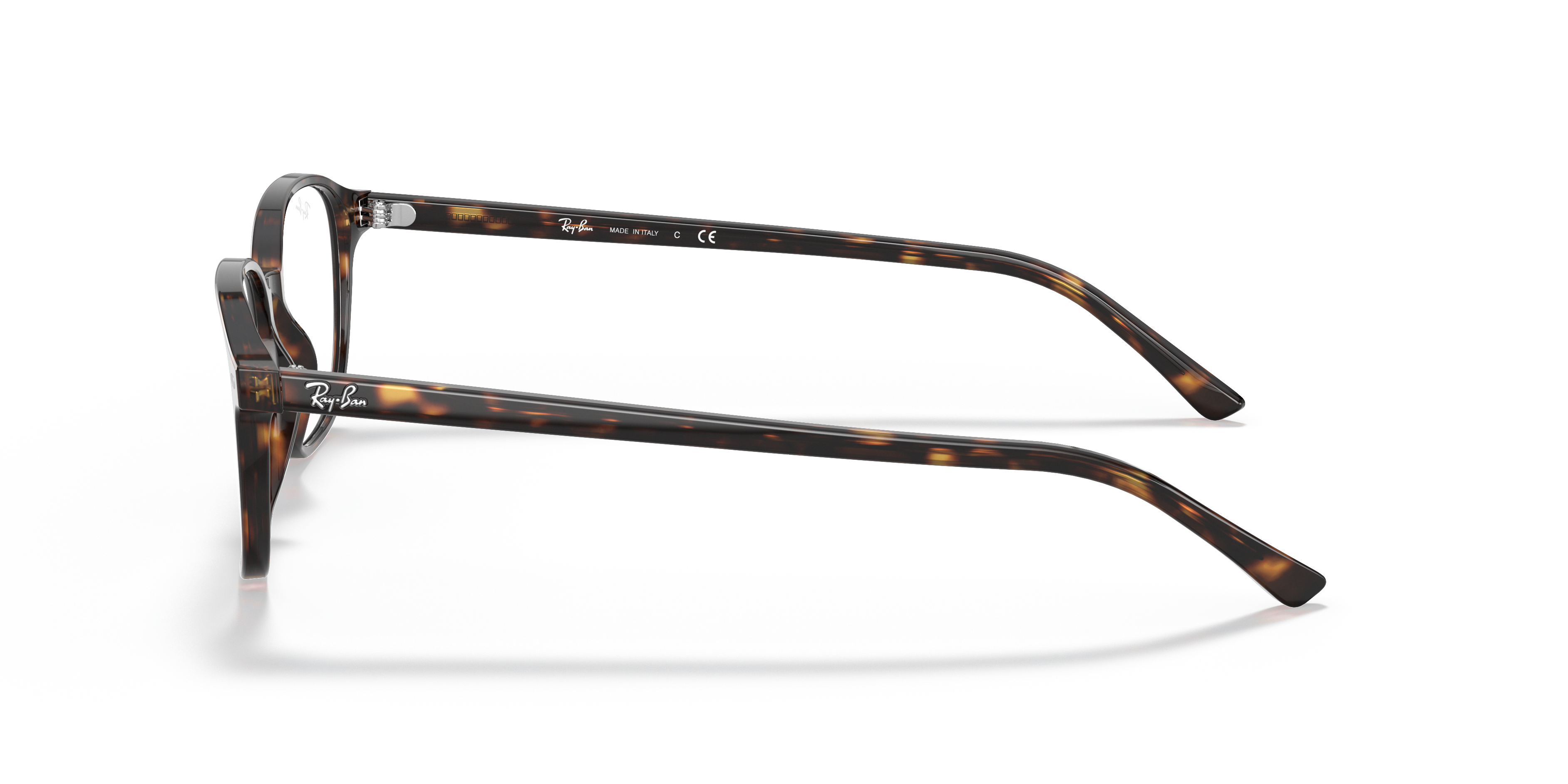 Ray-Ban RB5393 Leonard Optics