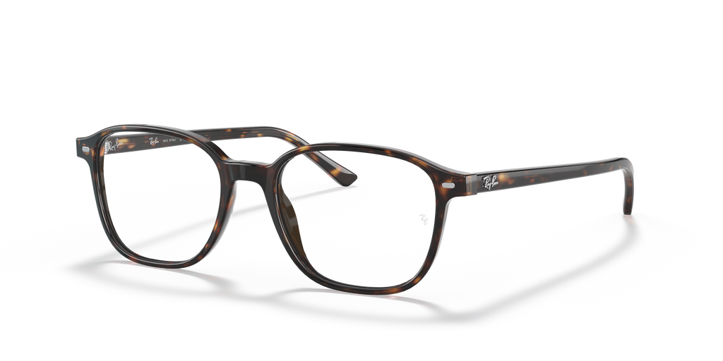 Ray-Ban RB5393 Leonard Optics