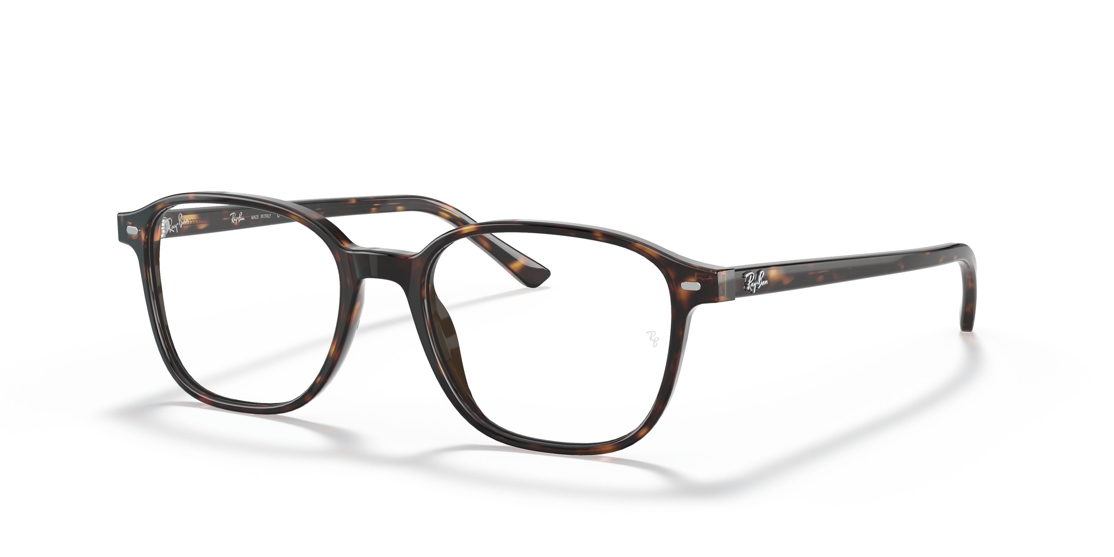 Ray-Ban RB5393 Leonard Optics