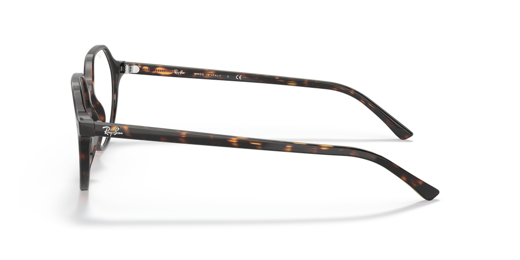 Ray-Ban RB5395 Thalia Optics