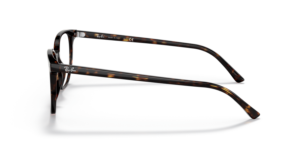 Ray-Ban RB5397 Elliot Optics