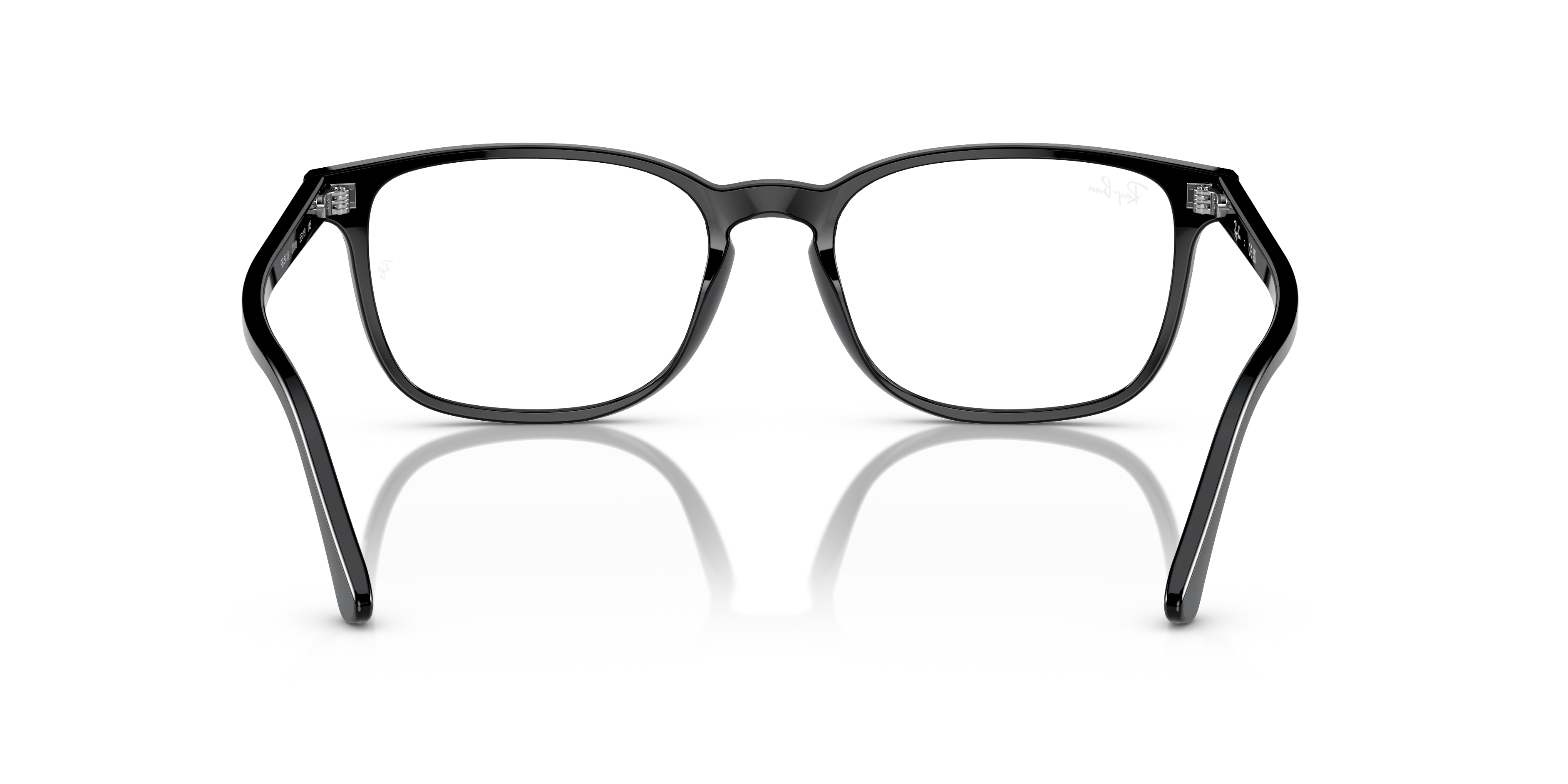 Ray-Ban RB5418 Optics