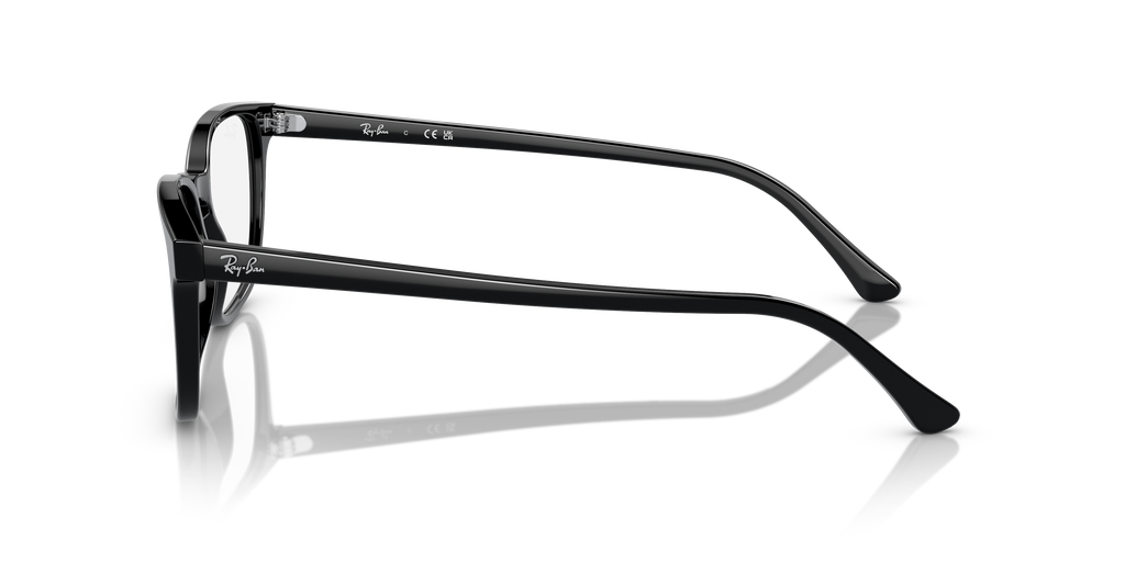 Ray-Ban RB5418 Optics