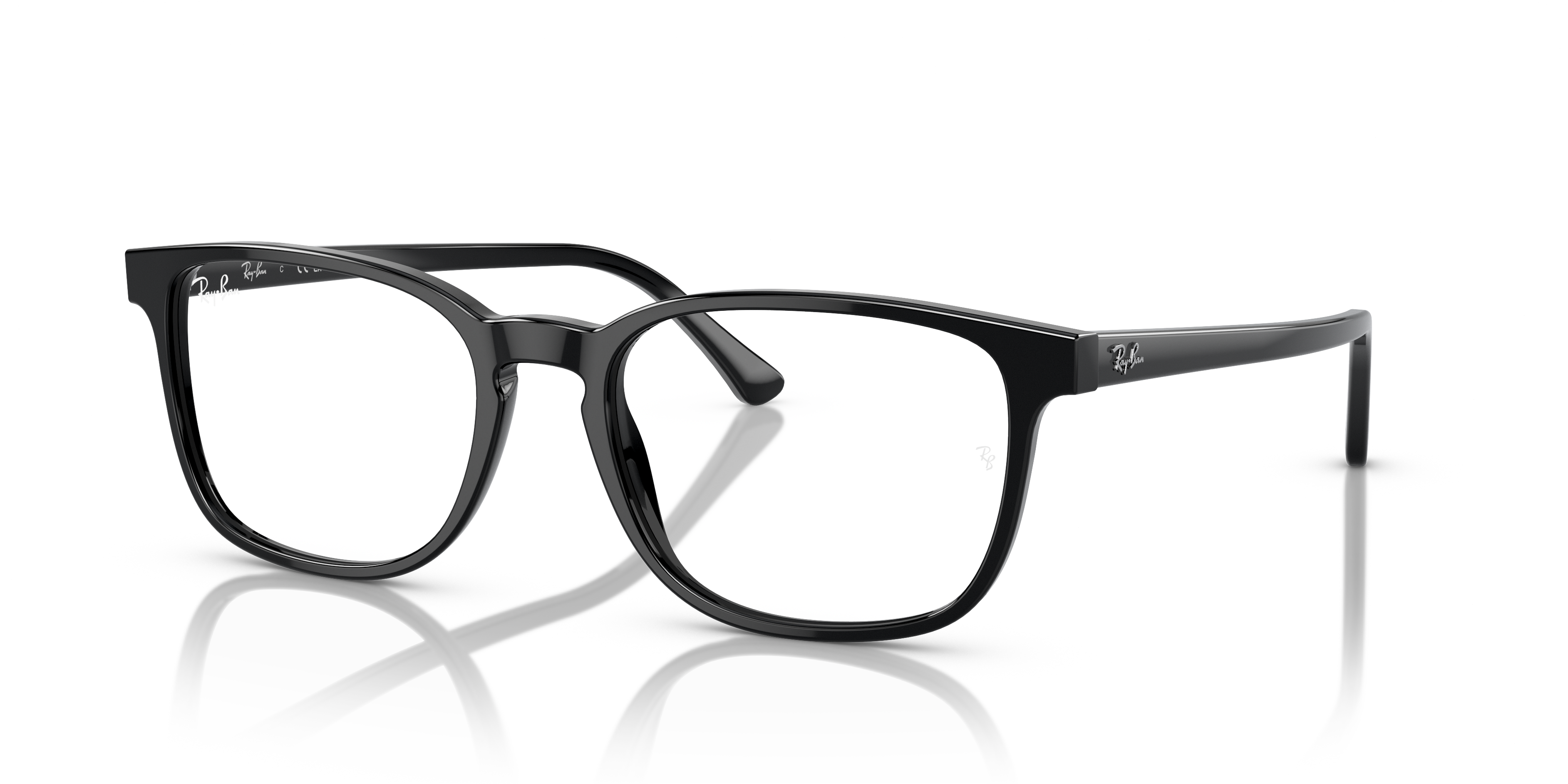 Ray-Ban RB5418 Optics