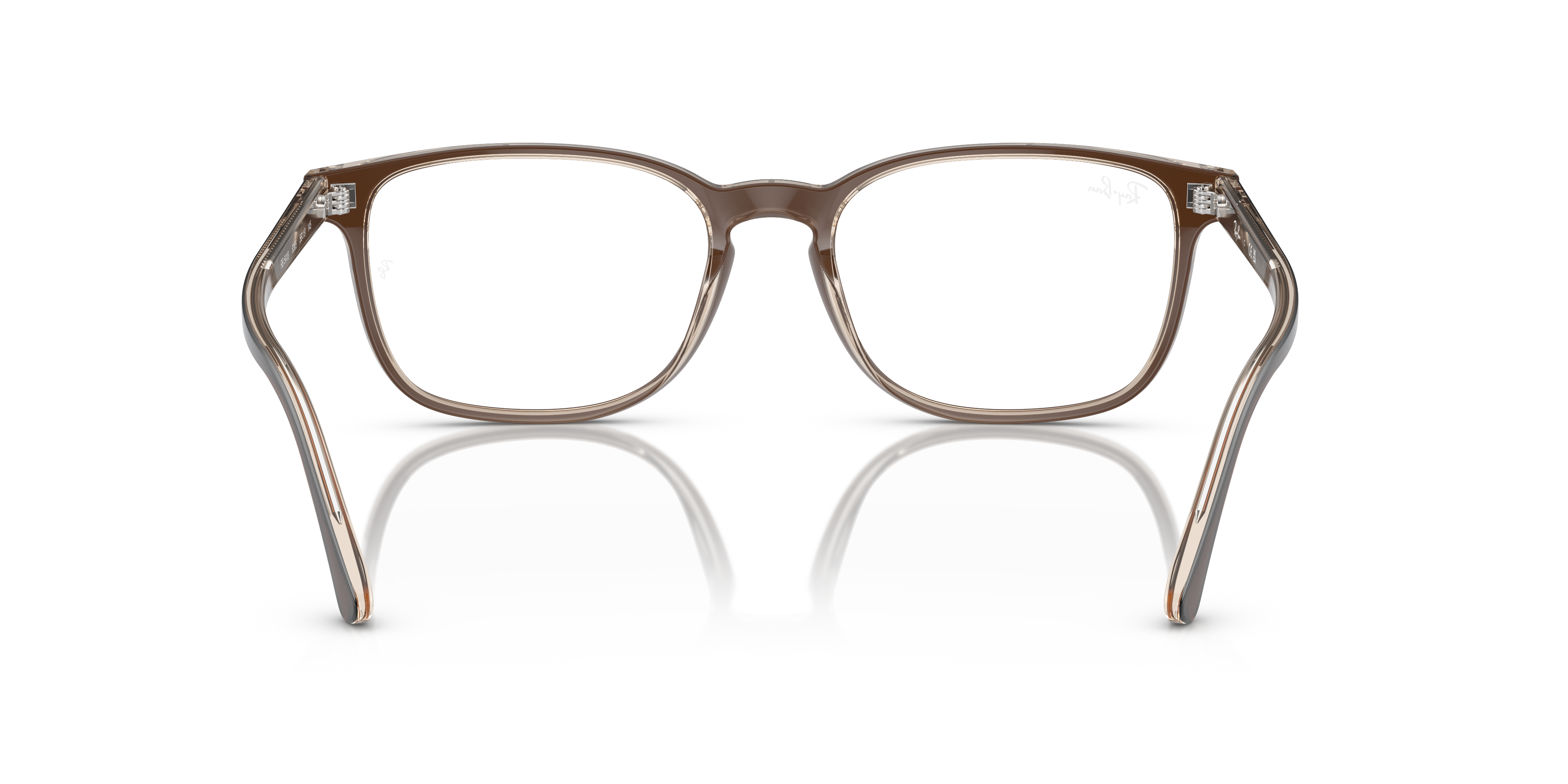 Ray-Ban RB5418 Optics
