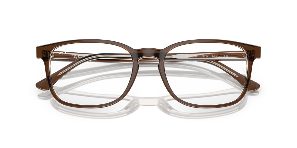 Ray-Ban RB5418 Optics