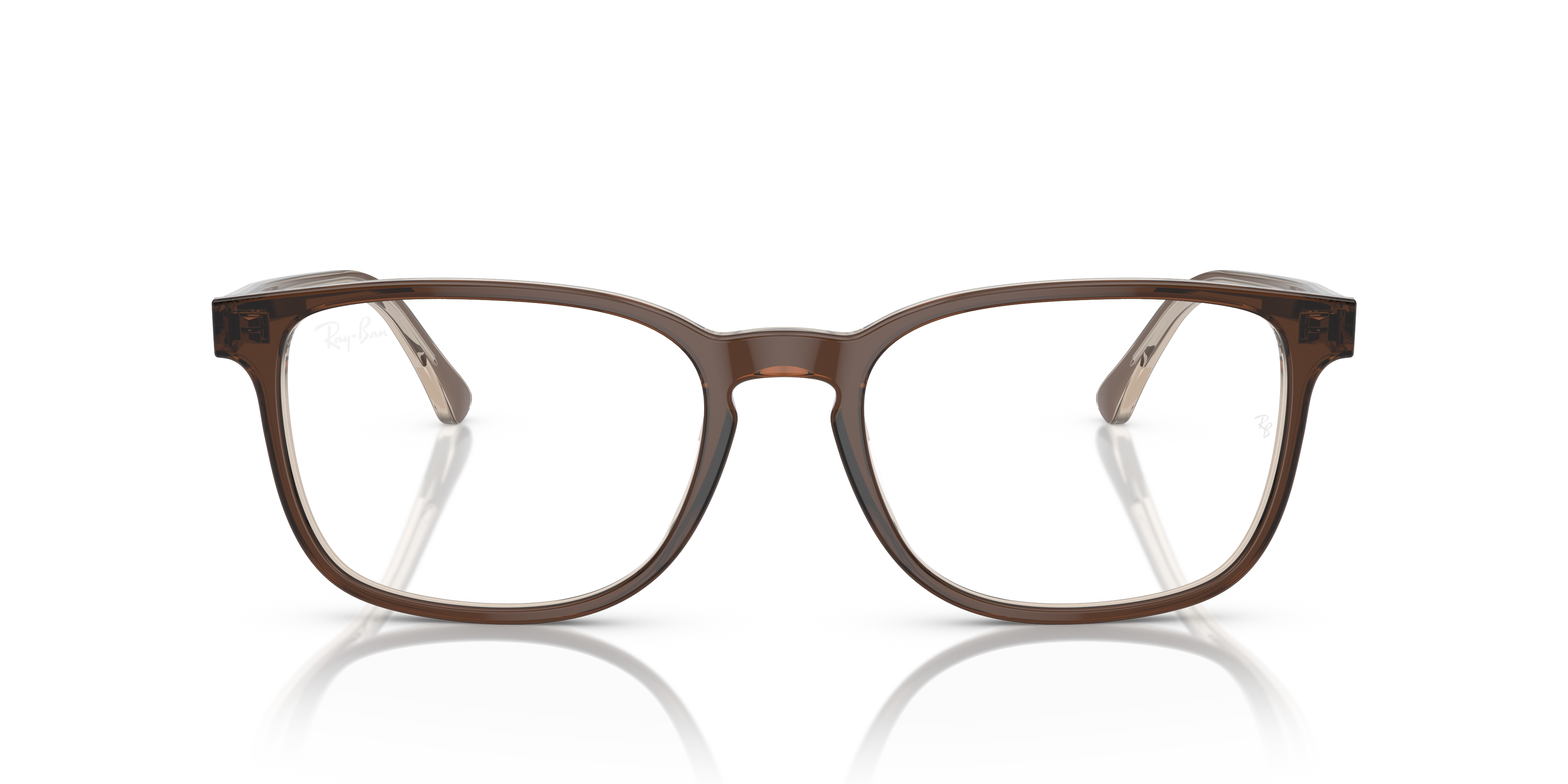Ray-Ban RB5418 Optics