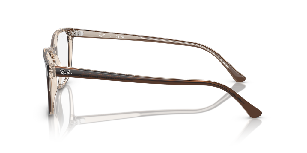 Ray-Ban RB5418 Optics
