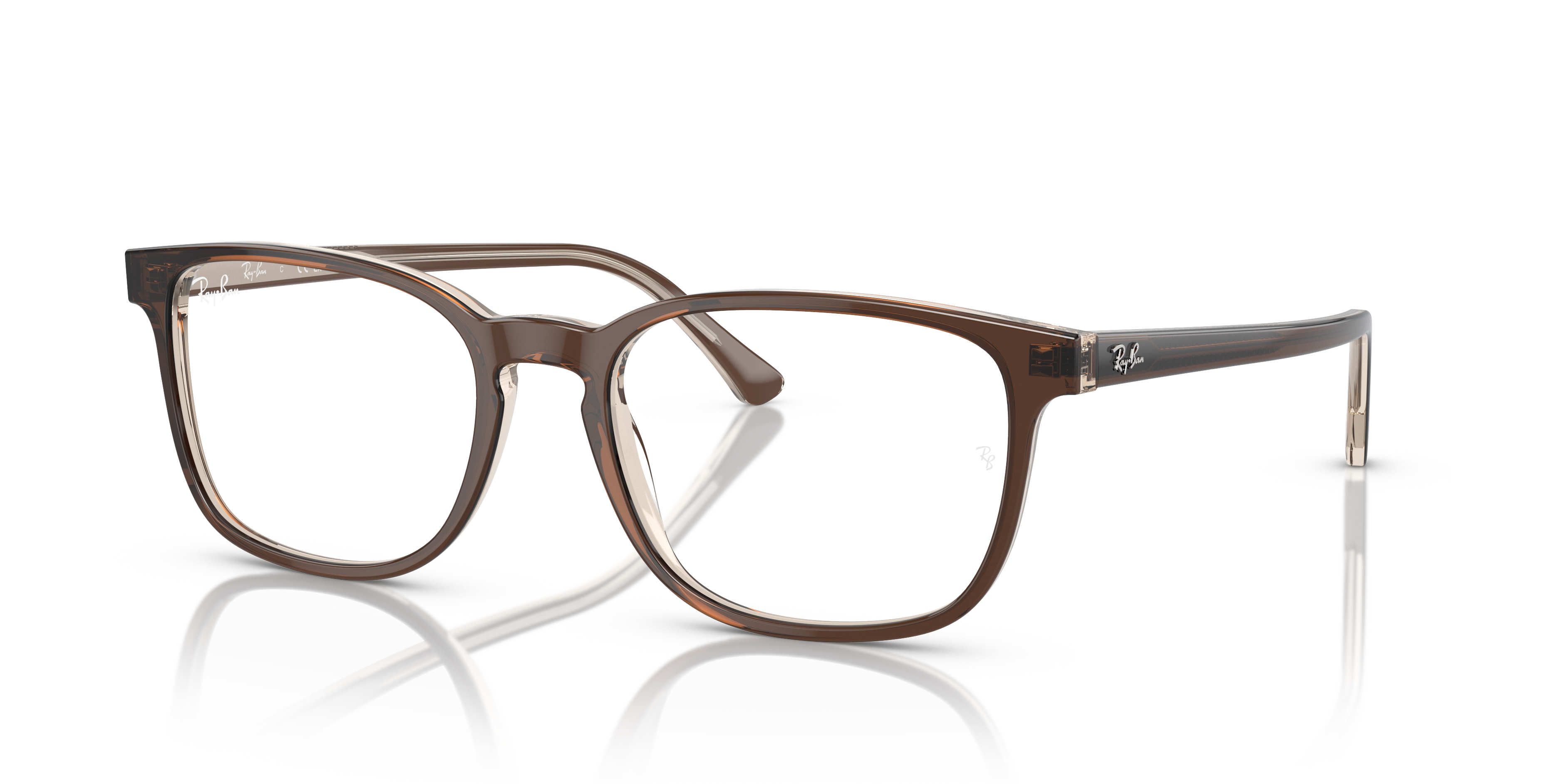 Ray-Ban RB5418 Optics