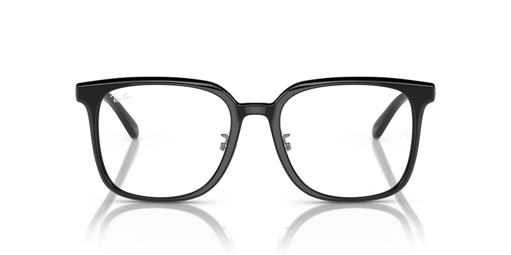 Ray-Ban RB5419D