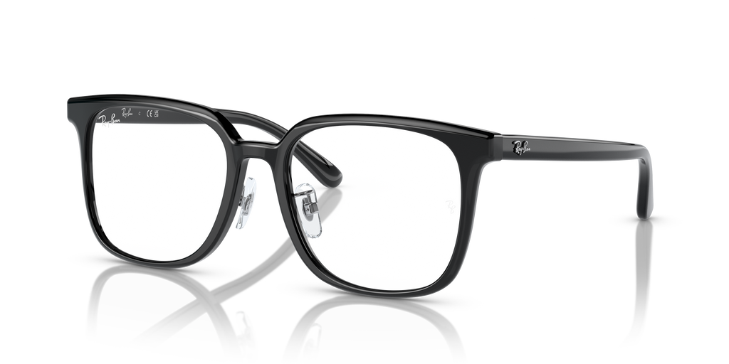 Ray-Ban RB5419D