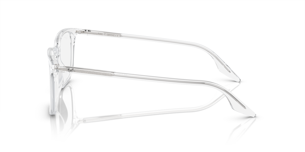Ray-Ban RB5421 Optics