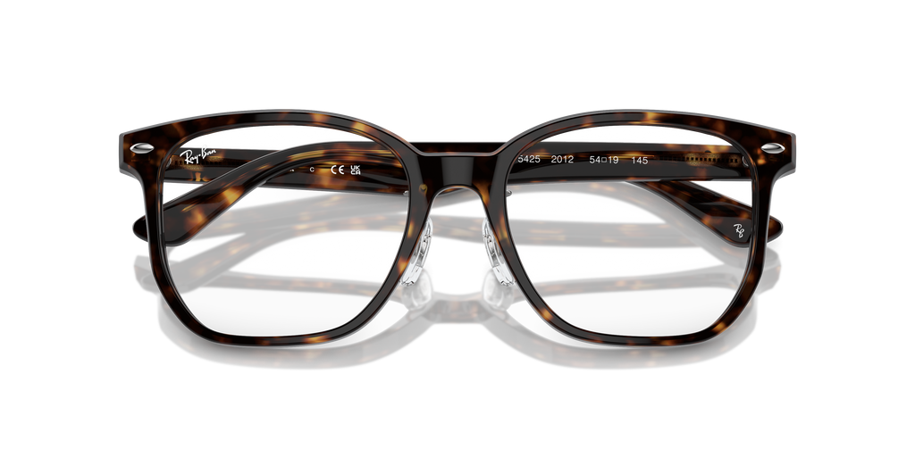 Ray-Ban RB5425D Optics