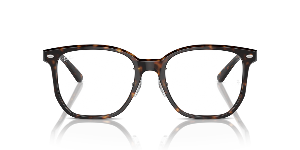 Ray-Ban RB5425D Optics