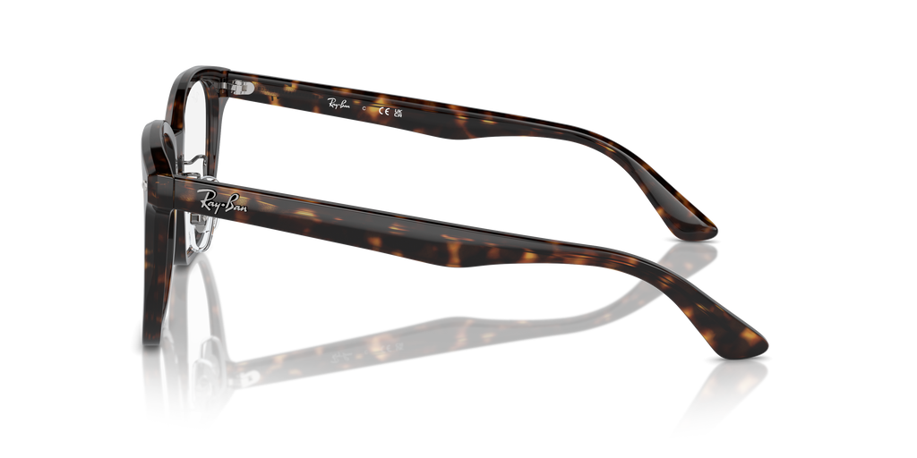 Ray-Ban RB5425D Optics