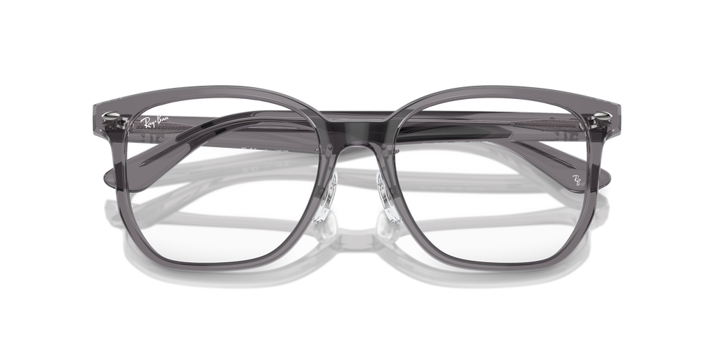 Ray-Ban RB5425D Optics