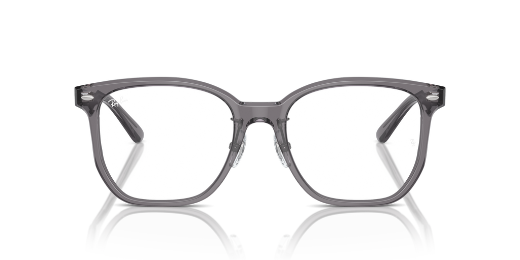 Ray-Ban RB5425D Optics