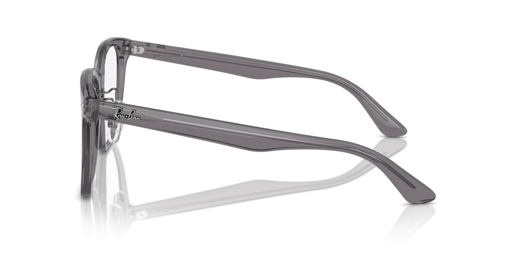 Ray-Ban RB5425D Optics