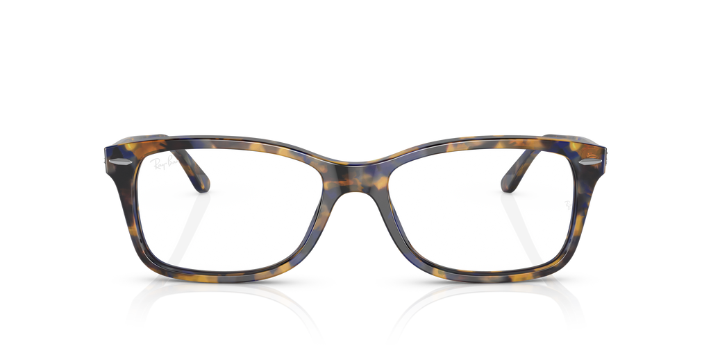 Ray-Ban RB5428 Optics