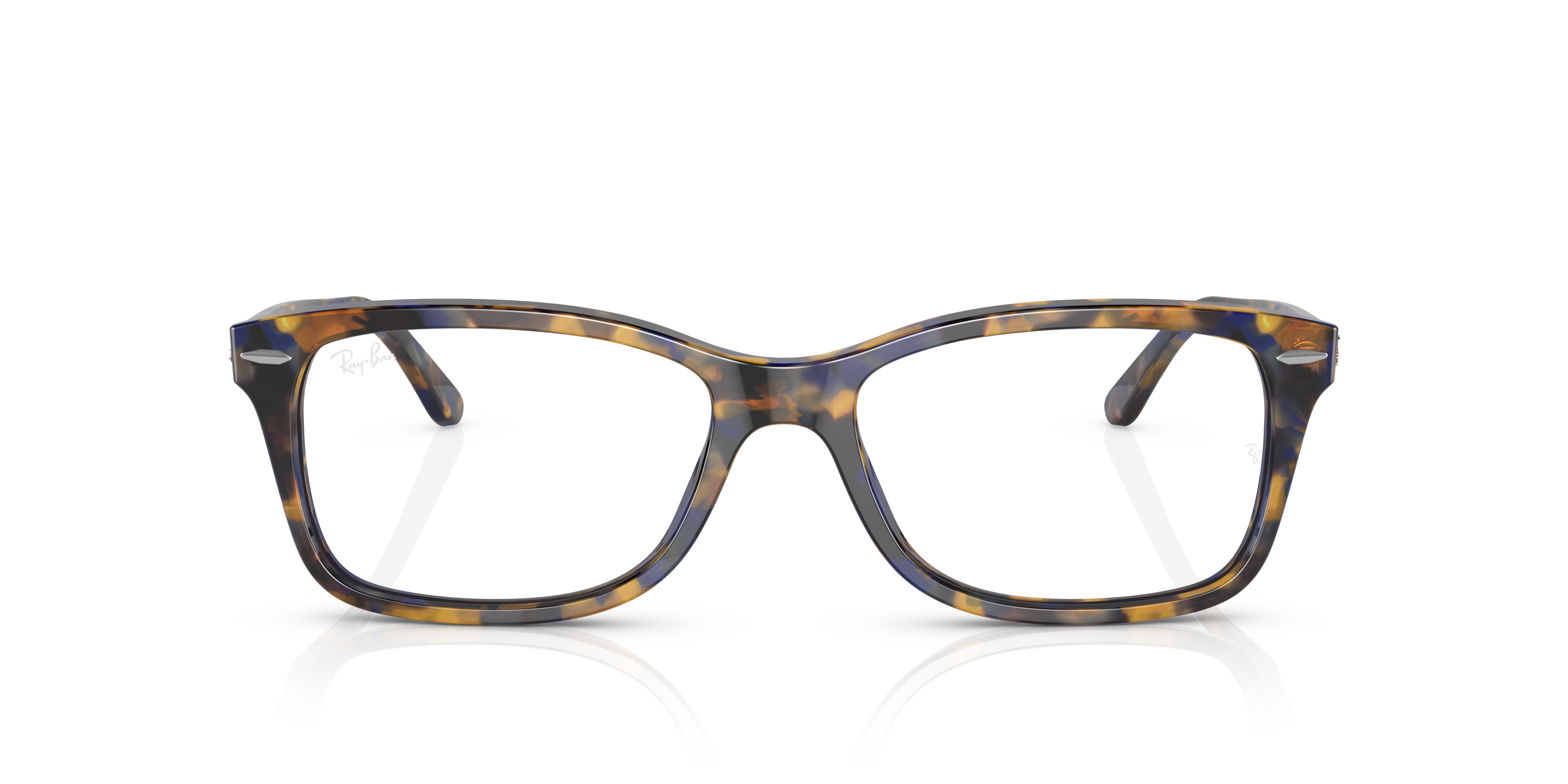Ray-Ban RB5428 Optics