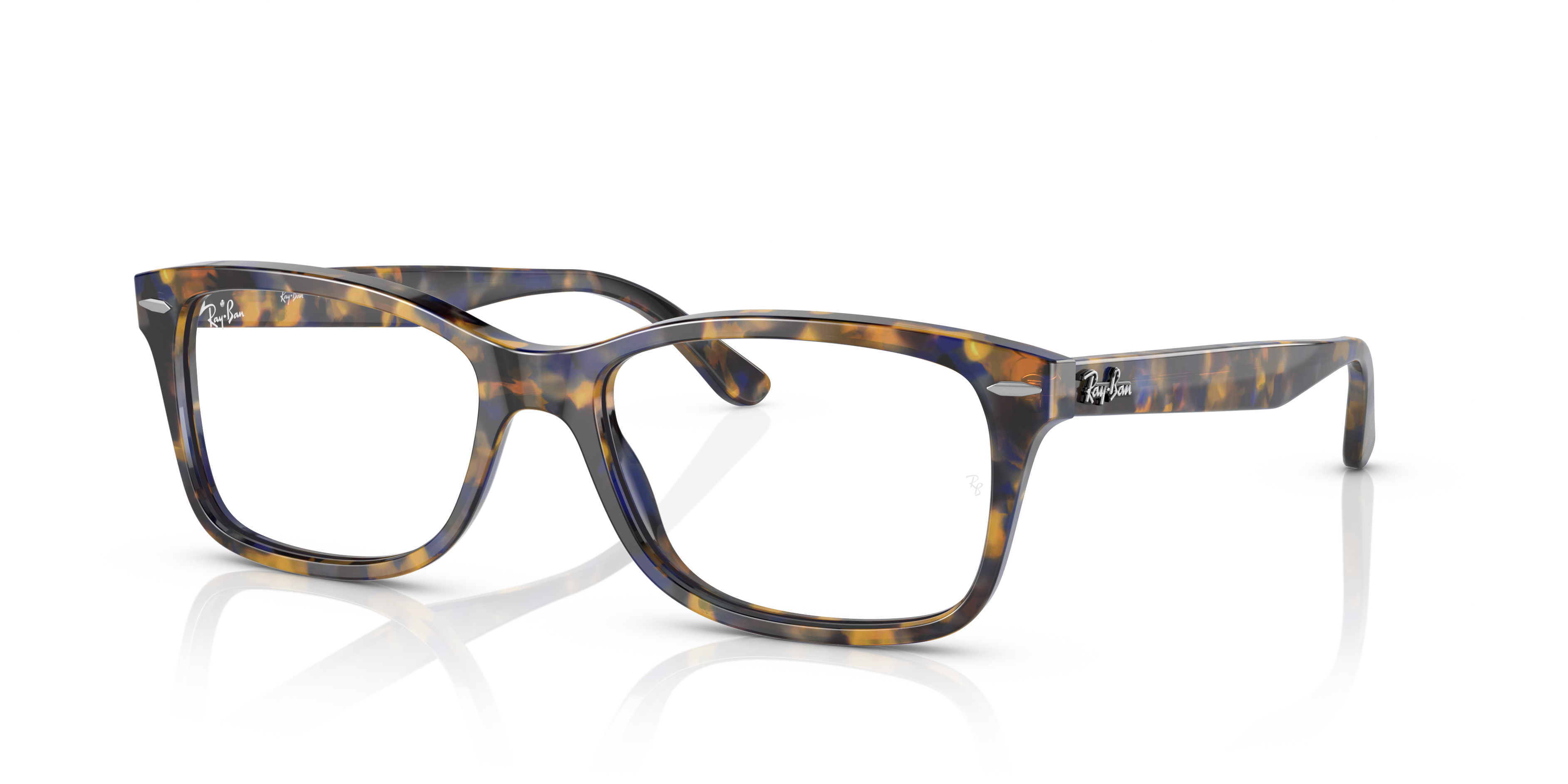 Ray-Ban RB5428 Optics