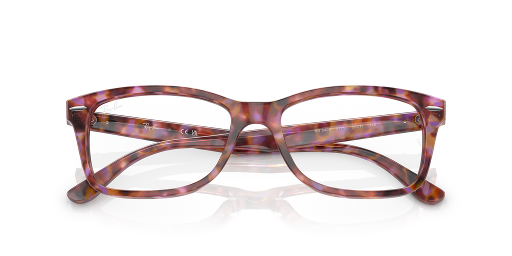 Ray-Ban RB5428 Optics