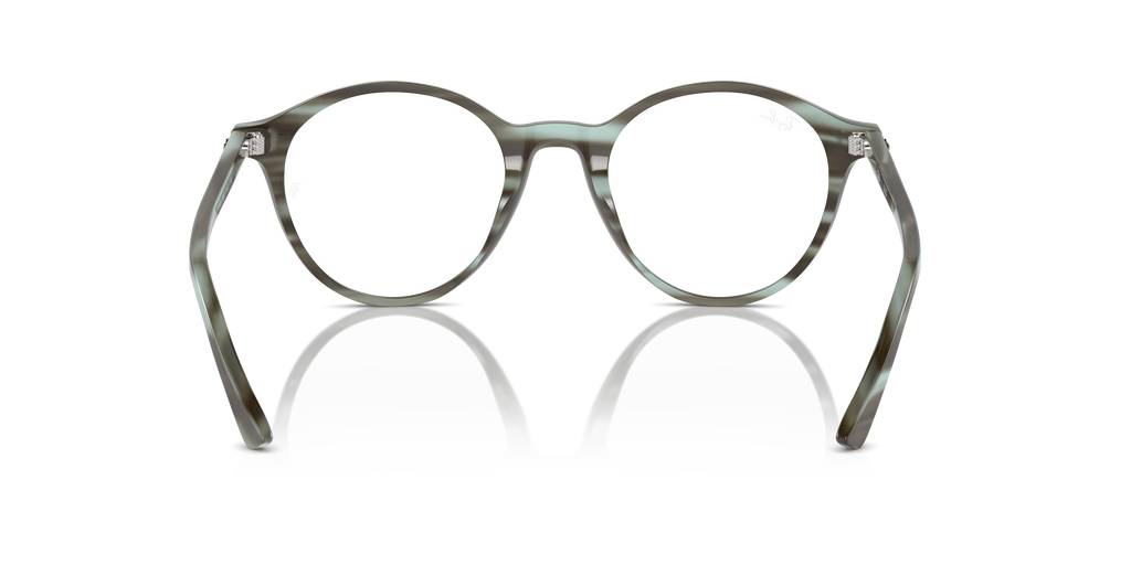 Ray-Ban RB5430 Optics