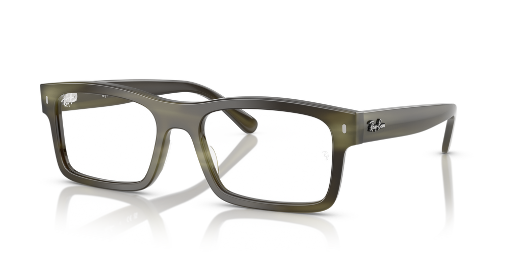 Ray-Ban RB5435 Optics