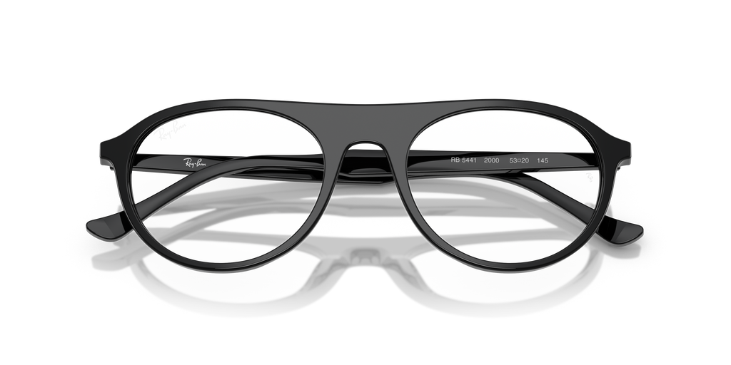 Ray-Ban RB5441 Optics