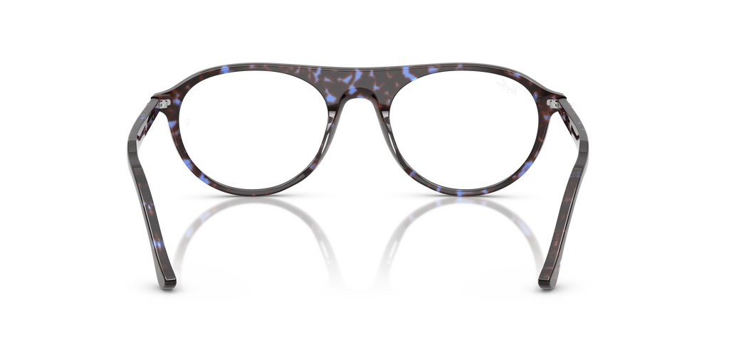 Ray-Ban RB5441 Optics