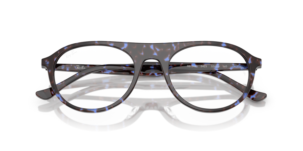 Ray-Ban RB5441 Optics
