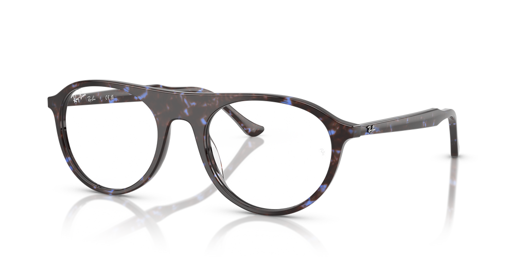 Ray-Ban RB5441 Optics