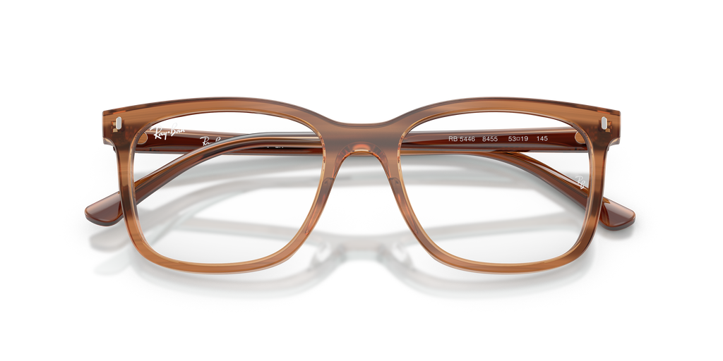 Ray-Ban RB5446