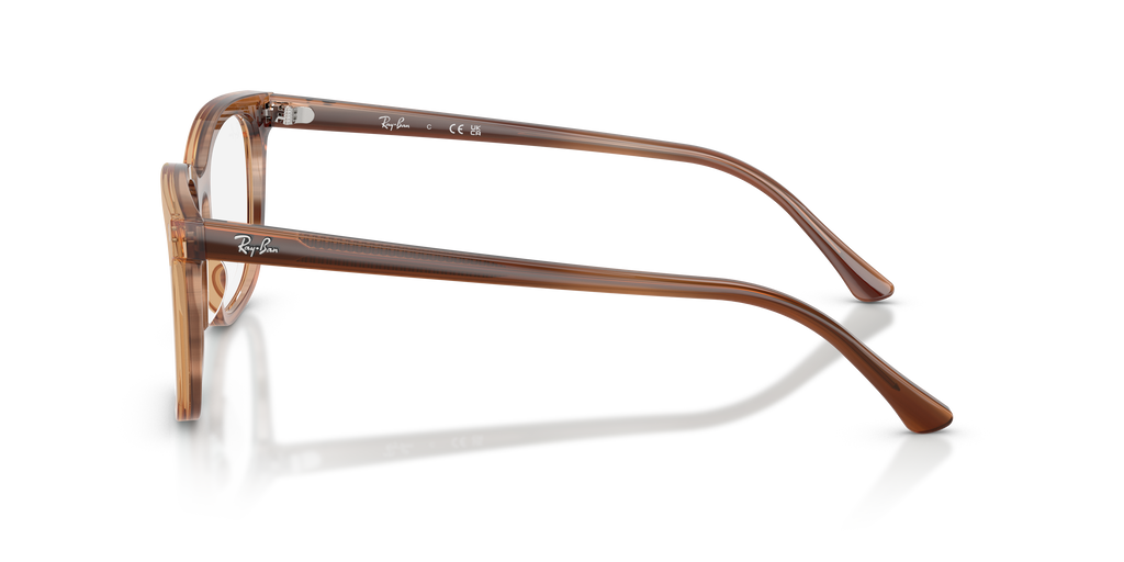 Ray-Ban RB5446