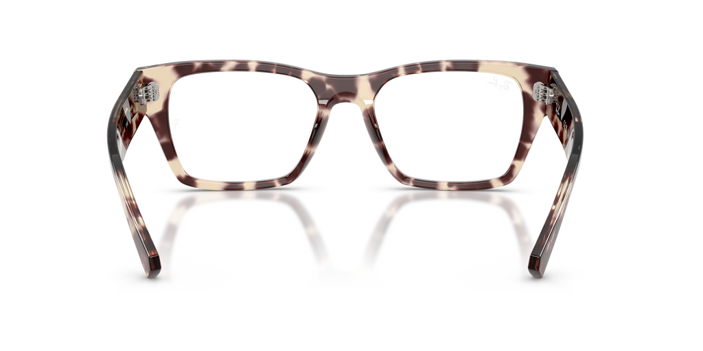 Ray-Ban RB5448 Optics