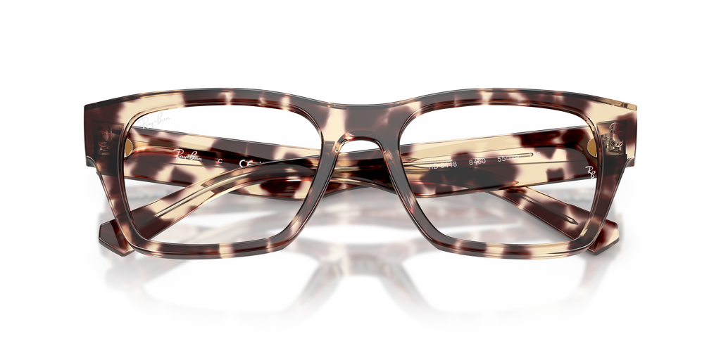 Ray-Ban RB5448 Optics