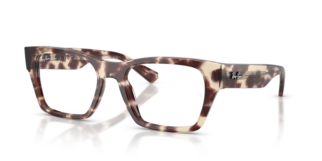 Ray-Ban RB5448 Optics